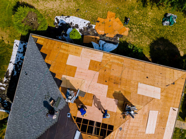 Best Metal Roofing Contractor  in Kahaluu Keauhou, HI